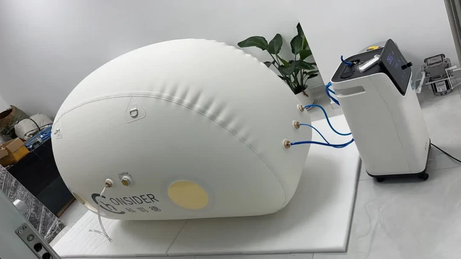 Rear connection view of a soft sitting chamber in a wellness studio